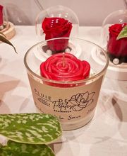 Pluie de Pétales image 14