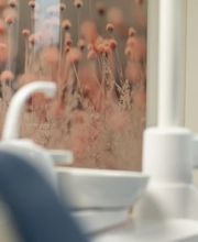 Praxis Freivogel Bild 4