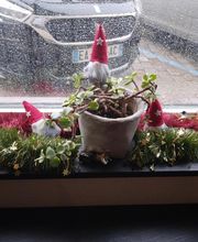 Auto-Ecole Saint Bénigne image 16