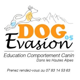 Dog Evasion 05