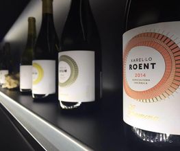 distribucion-vino-lleida.jpg
