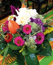 Blattwerk Bauer Ingrid und Markus Bild 7