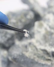 ACTI diagnostics image 6