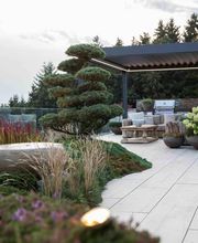 Somandin GmbH Bild 1