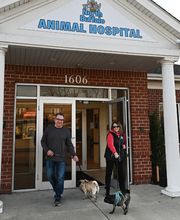 North Buffalo Animal Hospital image 12