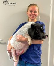 ClinicVet Vétérinaire Foucarmont image 7