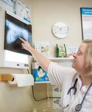 Skinner Animal Clinic image 4