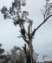 RS Elagages Services image 15