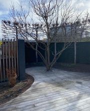 Swiss Green Estate Haljimi Bild 5