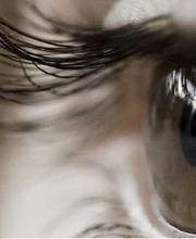 Bussola AG - Lebens- und Lernräume für Kinder und Jugendliche in Pflegefamilien Bild 5