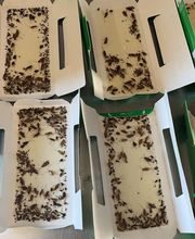 Gothon Dératisation Désinsectisation Désinfection image 7