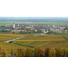 CHAMPAGNE BARNAUT image 3