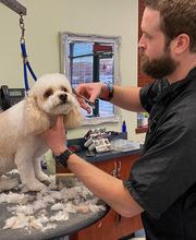 Bridgeview Pet Wellness Clinic image 10