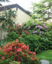 DAVIDEgiardini Bild 7