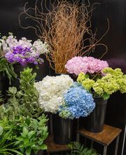 In Bloom Florist - Lake Mary image 10