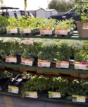 Garden Center Detail Shot