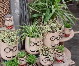 A Fleur De Pot image 11