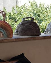 niglo chatrie image 10