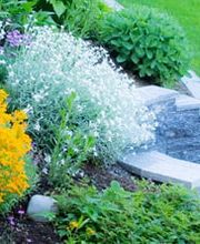 Gartenbau Felsberg GmbH Bild 8