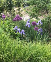 Gartengestaltung Nickerl Bild 1