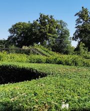 Alex Paysage image 9