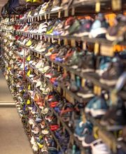 SPORT + MODEN WILD Bild 4