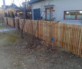 Holz-König Bild 5