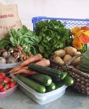 Du Potager Fleuri GAEC image 14