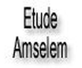 Etude AMSELEM image 2