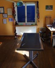 Tierarztpraxis rundumXund Bild 7