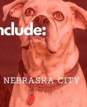 Animal Hospital of Nebraska City image 1