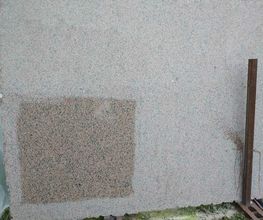 Linocor imagen 2