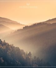 Dirk Doebele Fotografie Bild 4