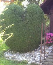 Duttweiler Jürg Bild 1