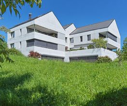 brauneroth ag Bild 4