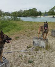 Antho Educanine image 9