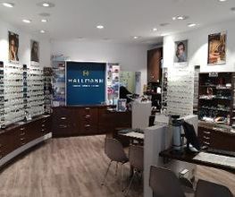 Hallmann Optik Bild 2