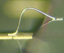 Wassmer Mikrosystemtechnik Bild 2