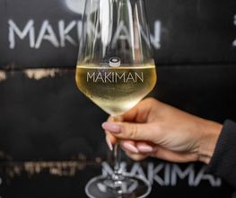 Makiman 4 Bild 14
