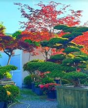 Gardenking GmbH Bild 7