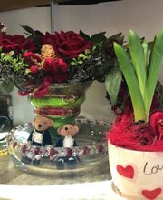 Gallery Cliente