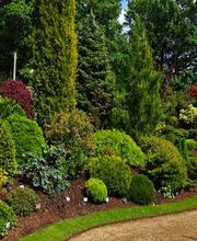 L ART DU PAYSAGISTE image 1