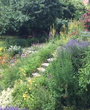 Adrian Kübler Gartengestaltung Bild 1