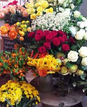 Stilvoll Sandra Schmitt Bild 8