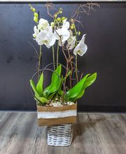 Au Parfum des Fleurs image 16