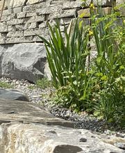 andergarten gmbh Bild 2