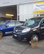 Storchengarage Neunkirch