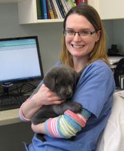 Marshfield Veterinary Service image 9