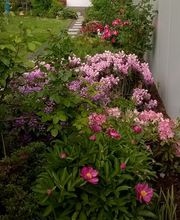 Ortlepp Haus- und Gartenservice UG (haftungsbeschränkt) Bild 2