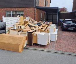 Die Umzugslöwen De Moll Bild 15